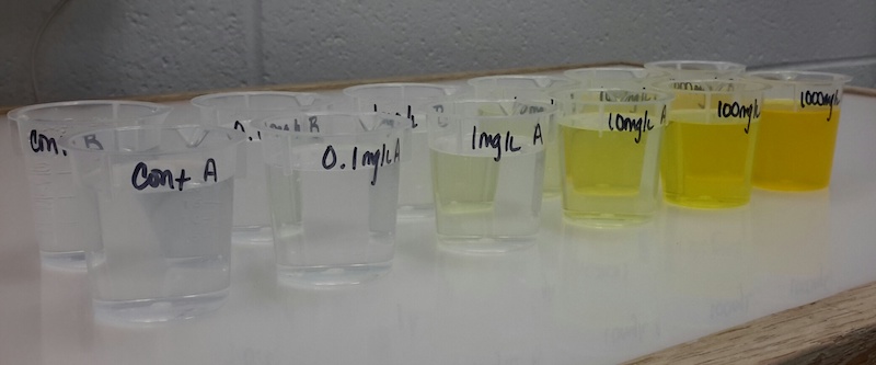 product assessment testing